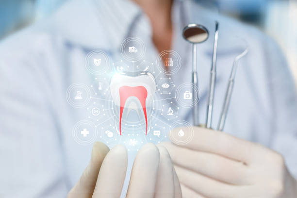 Best Dental Exams and Cleanings  in Oak Forest, IL